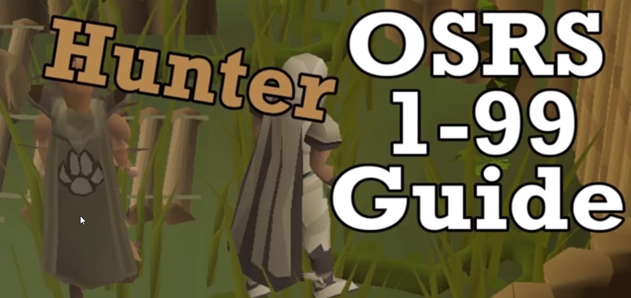 OSRS - 1-99 hunter guide